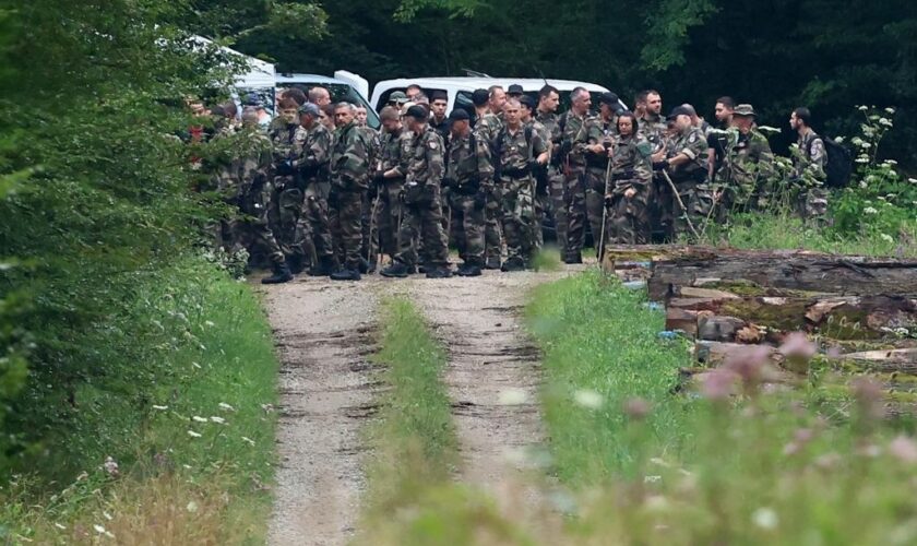 Un couple de randonneurs attaqué par des chiens patou en Isère